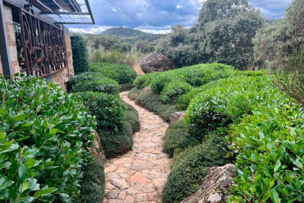 diseno ejecucion mantenimiento jardines