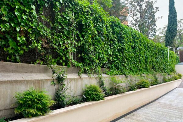 diseno ejecucion mantenimiento jardines