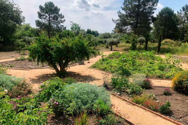 diseno ejecucion mantenimiento jardines