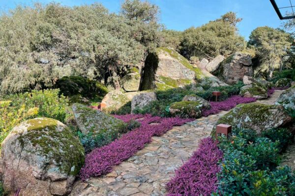 diseno ejecucion mantenimiento jardines