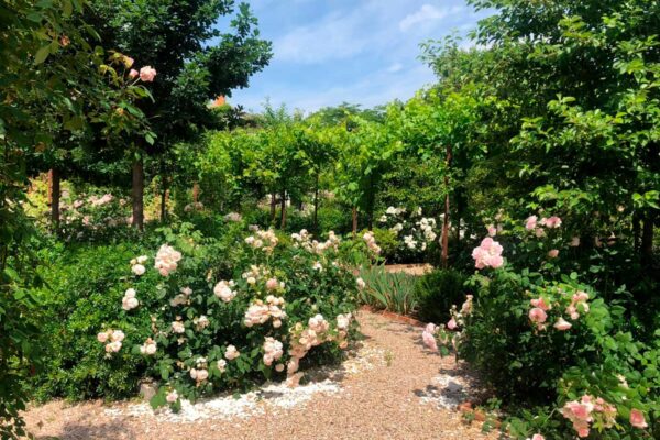 diseno ejecucion mantenimiento jardines