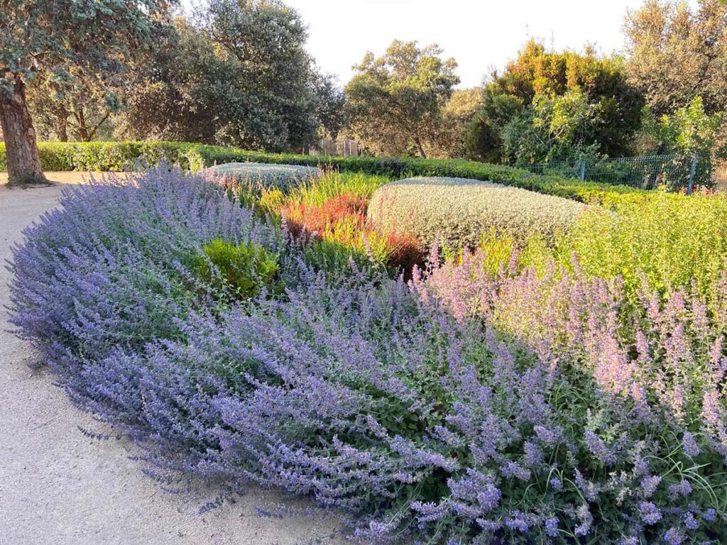 especialistas jardines talavera movimientos de tierras realizacion caminos borduras praderas