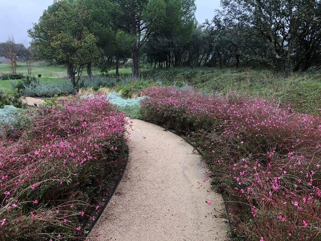 especialistas jardines talavera movimientos de tierras realizacion caminos borduras praderas