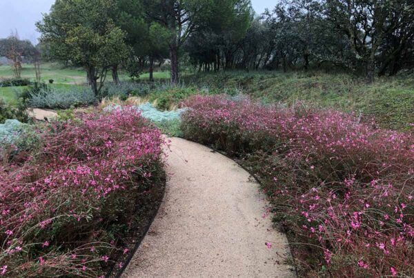 especialistas jardines talavera movimientos de tierras realizacion caminos borduras praderas