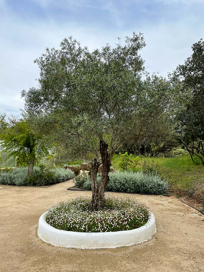 especialistas jardines talavera movimientos de tierras realizacion caminos borduras praderas