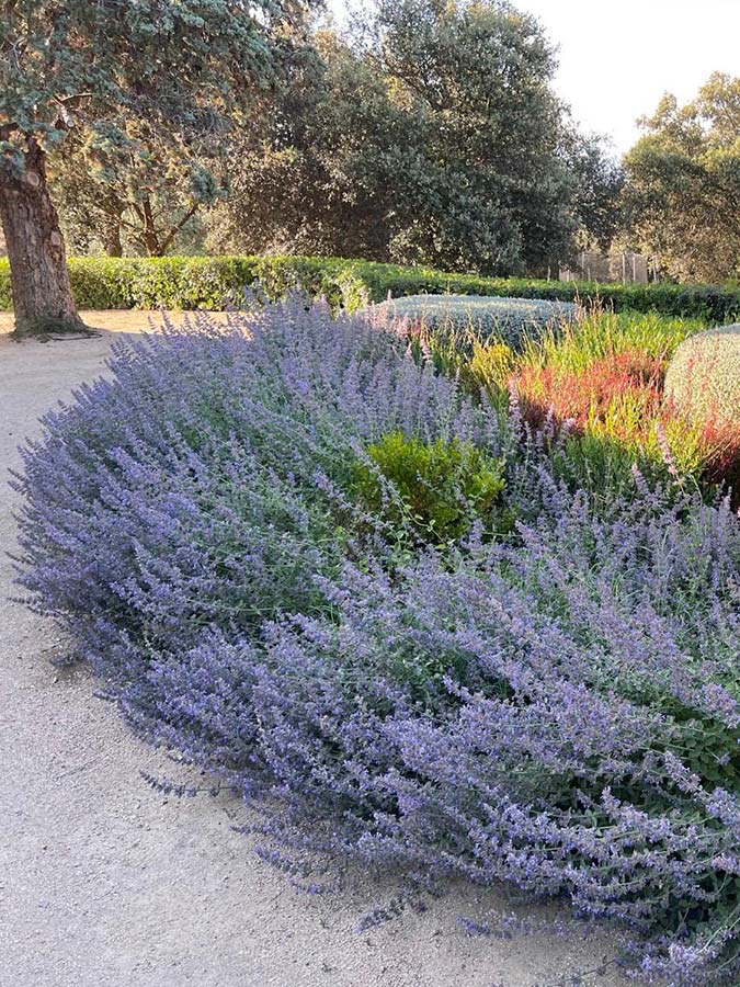 especialistas jardines talavera movimientos de tierras realizacion caminos borduras praderas