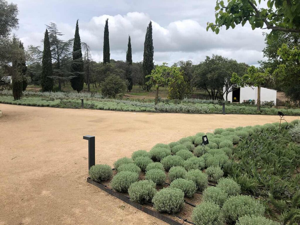 especialistas jardines talavera movimientos de tierras realizacion caminos borduras praderas