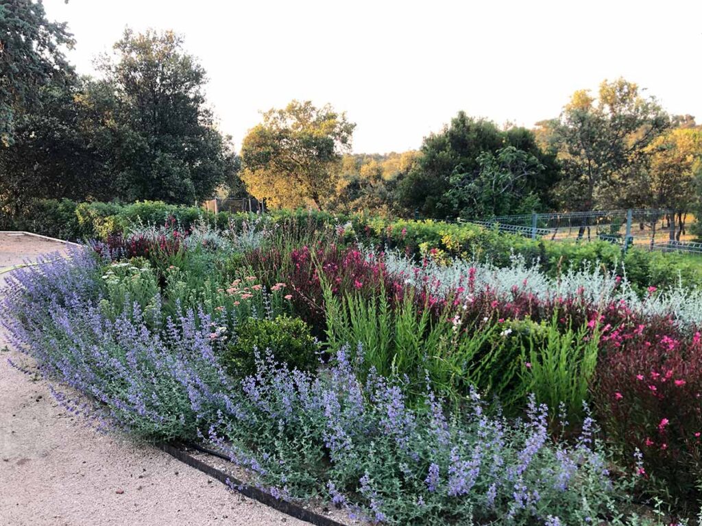 especialistas jardines talavera movimientos de tierras realizacion caminos borduras praderas