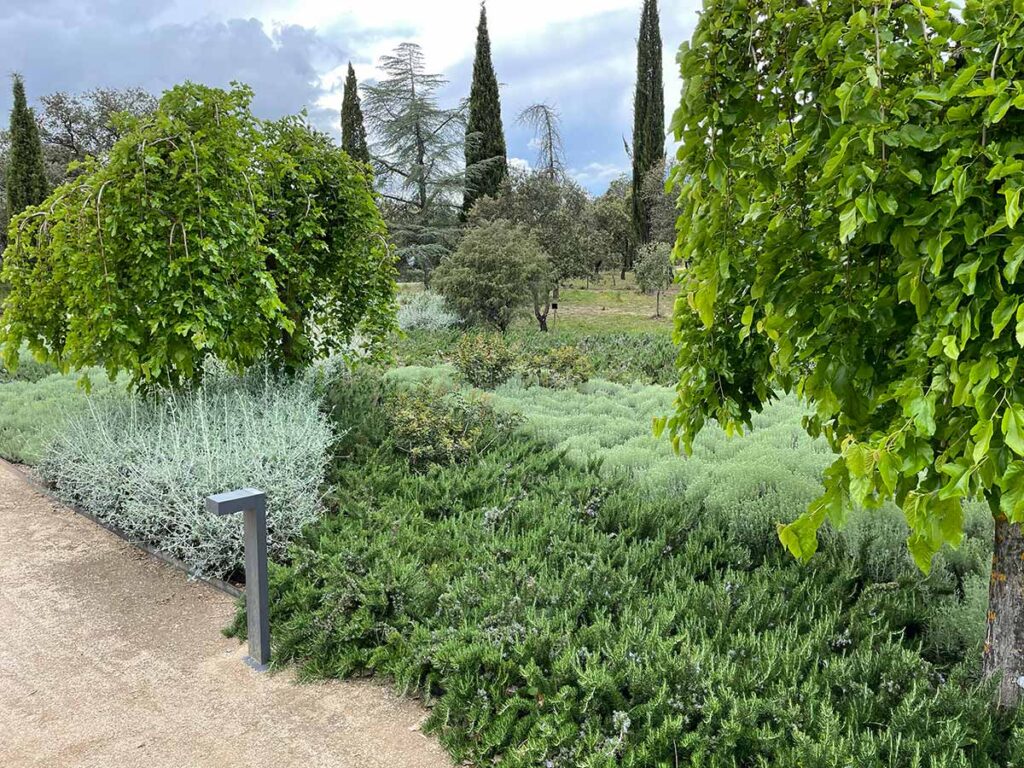 especialistas jardines talavera movimientos de tierras realizacion caminos borduras praderas