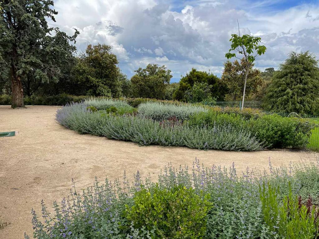 especialistas jardines talavera movimientos de tierras realizacion caminos borduras praderas