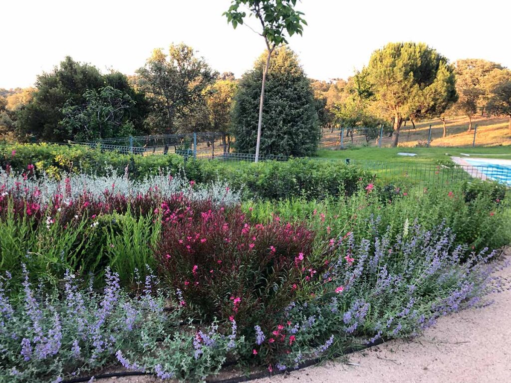 especialistas jardines talavera movimientos de tierras realizacion caminos borduras praderas