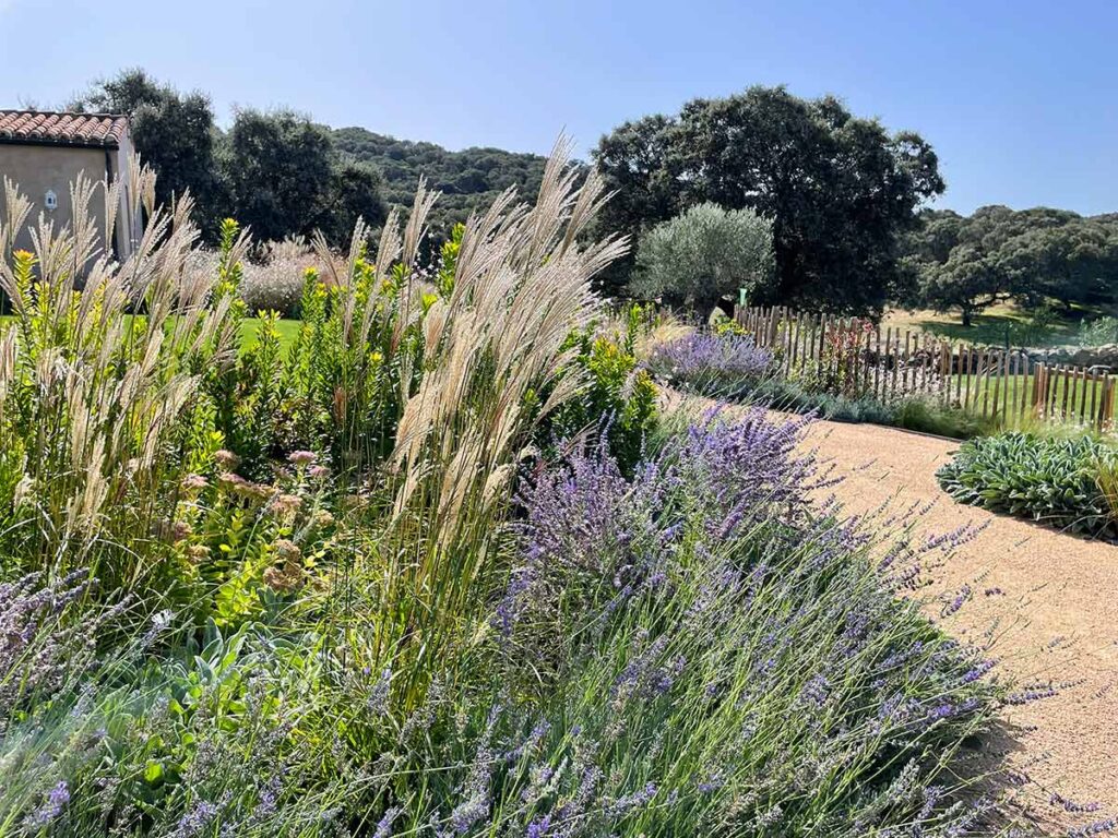 finca sierra de san vicente jardines casa de campo