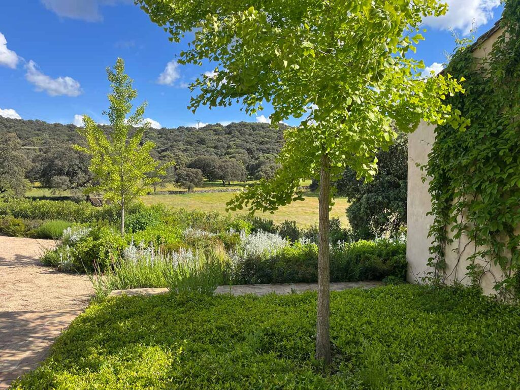 finca sierra de san vicente jardines casa de campo