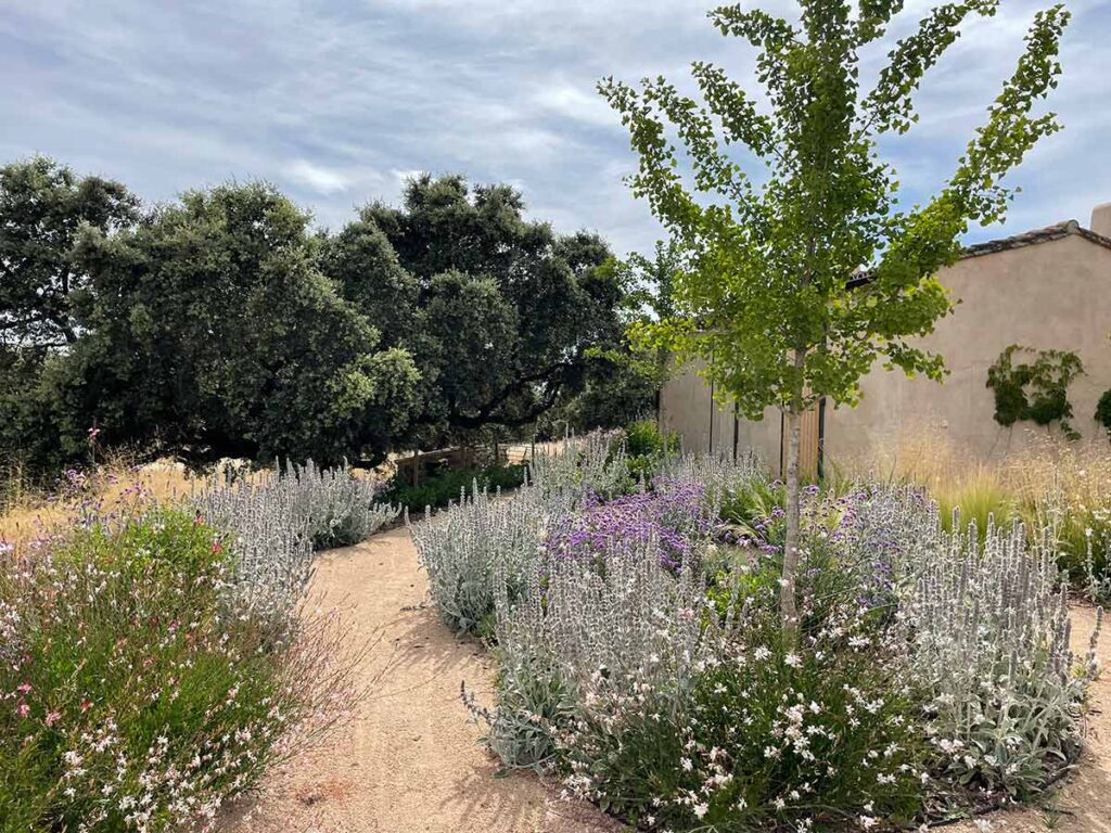 finca sierra de san vicente jardines casa de campo