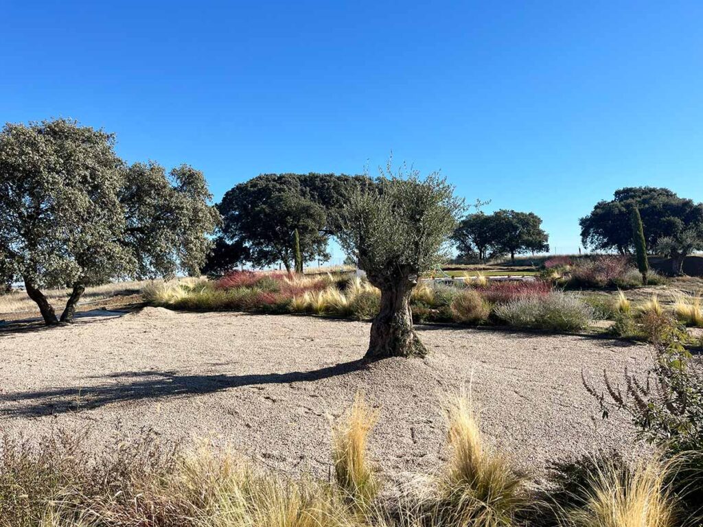 jardin en casa de campo oropesa