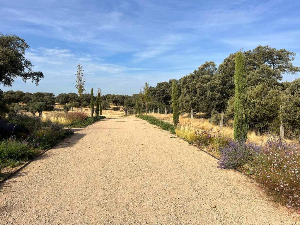 jardin en casa de campo oropesa
