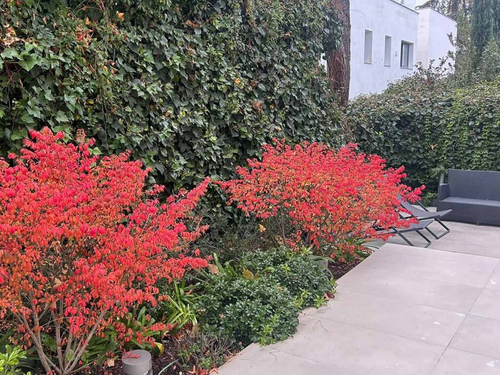jardin en chalet madrid jardineria en talavera de la reina