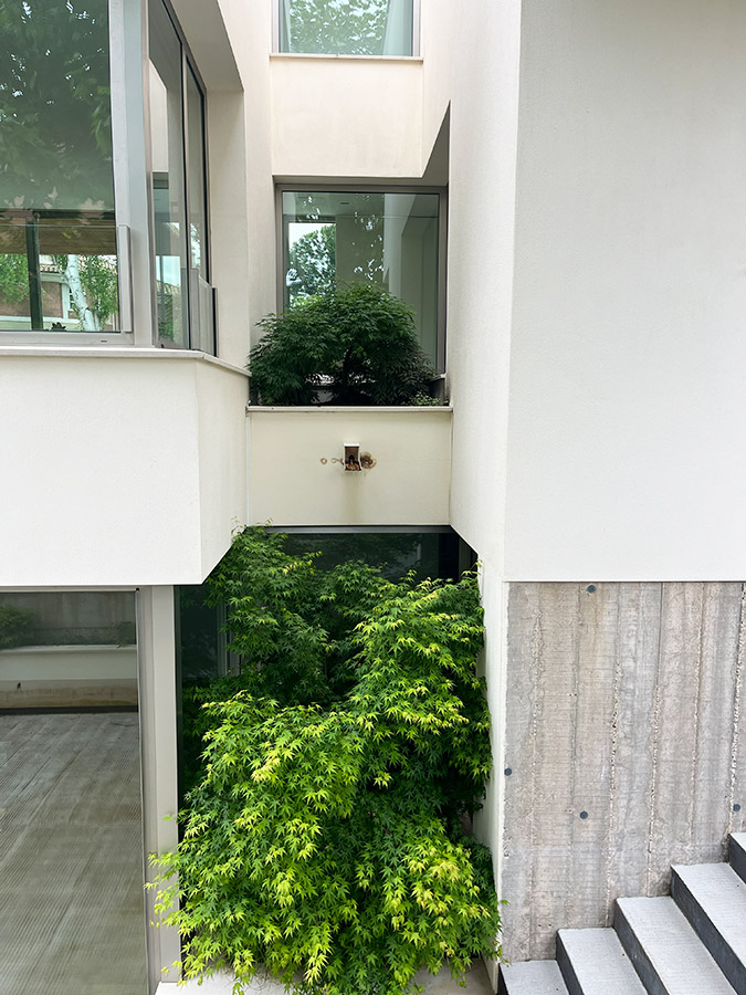 jardin en chalet madrid proyectos jardineria en talavera