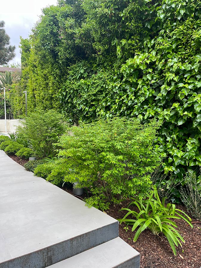 jardin en chalet madrid proyectos jardineria en talavera