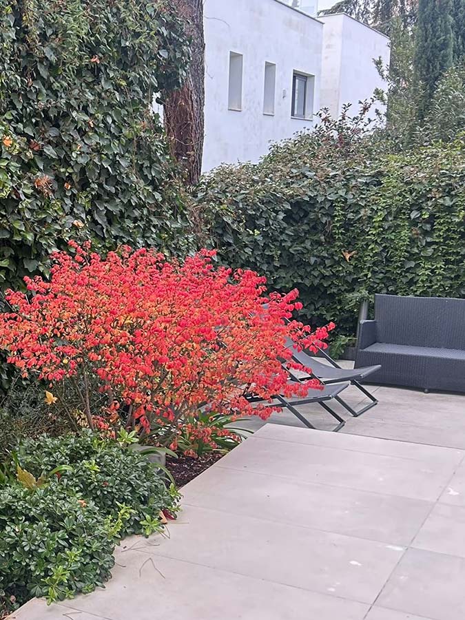 jardin en chalet madrid proyectos jardineria en talavera