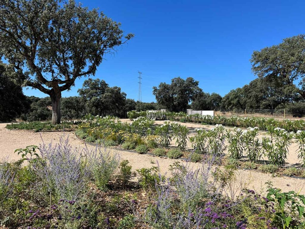 jardin en finca casa de campo en oropesa