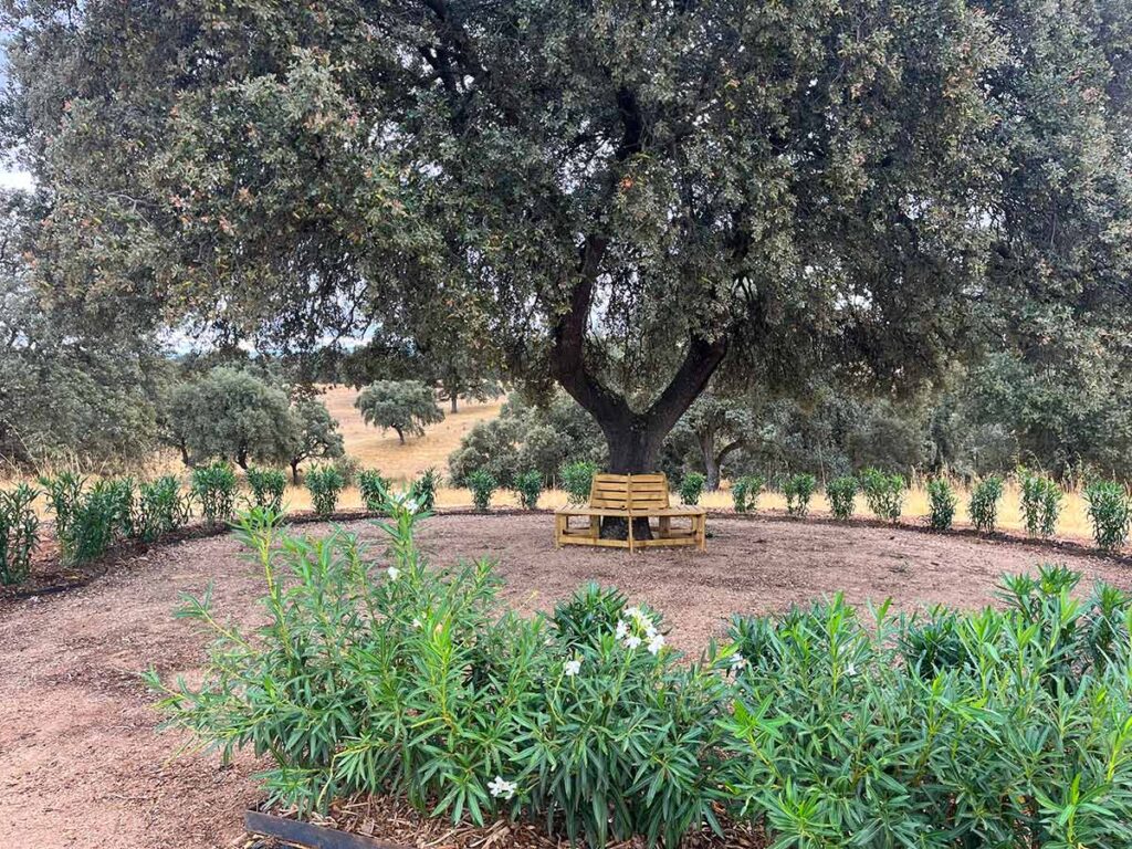 jardin en finca casa de campo en oropesa
