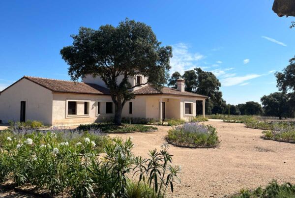 jardin en finca casa de campo en oropesa
