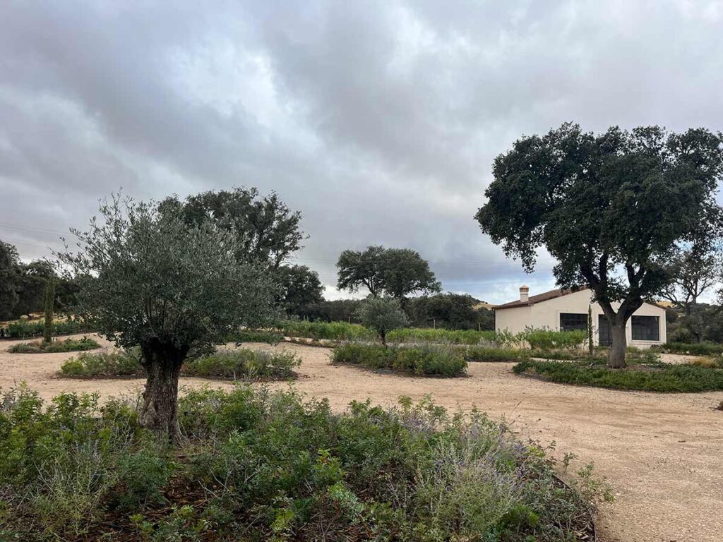jardin en finca casa de campo en oropesa