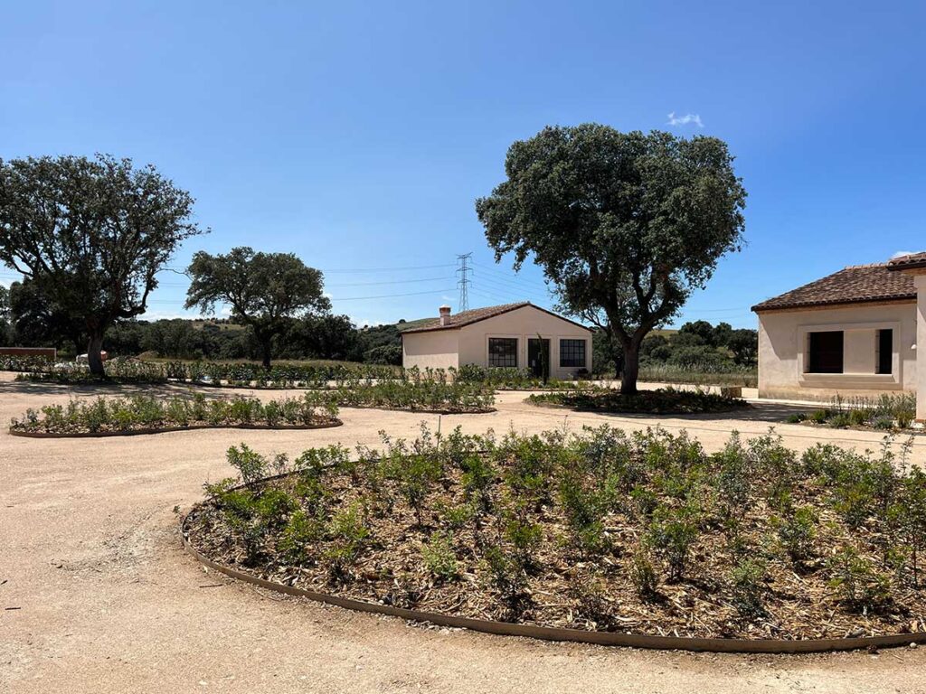 jardin en finca casa de campo en oropesa