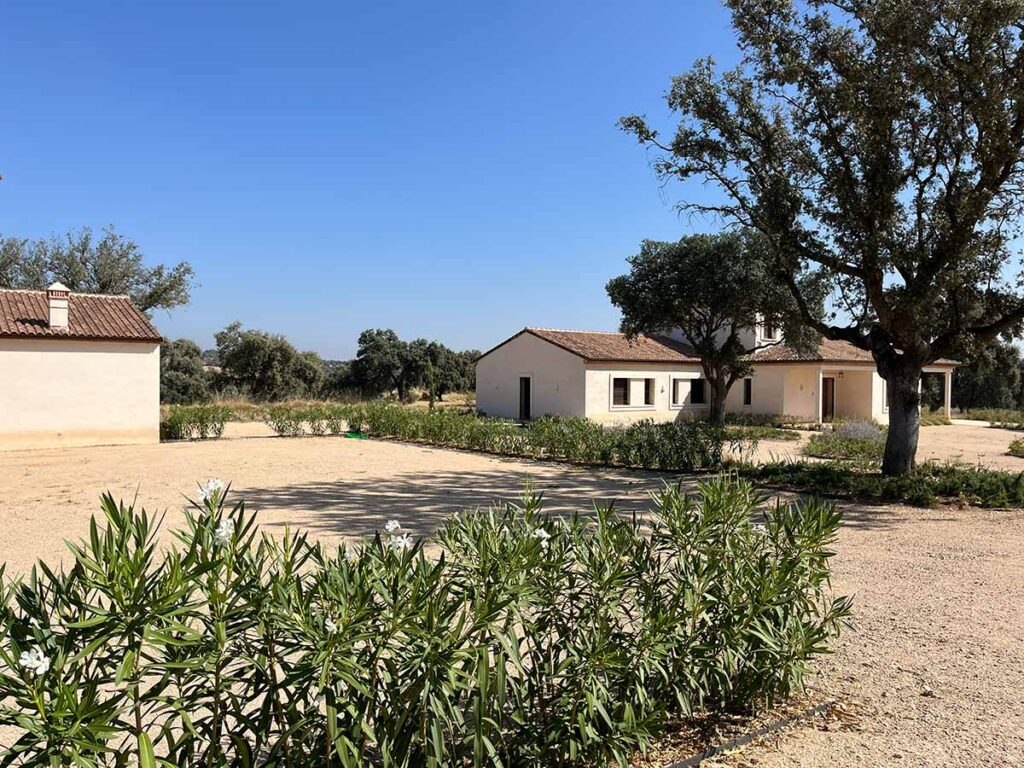 jardin en finca casa de campo en oropesa