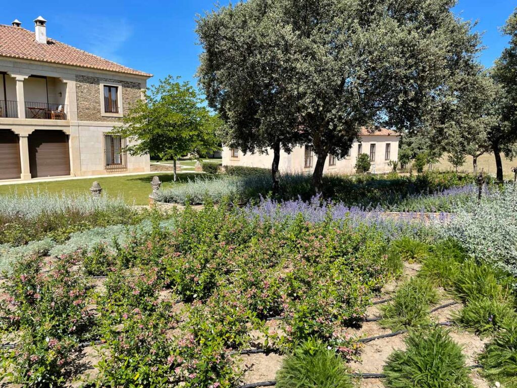 jardin finca caceres