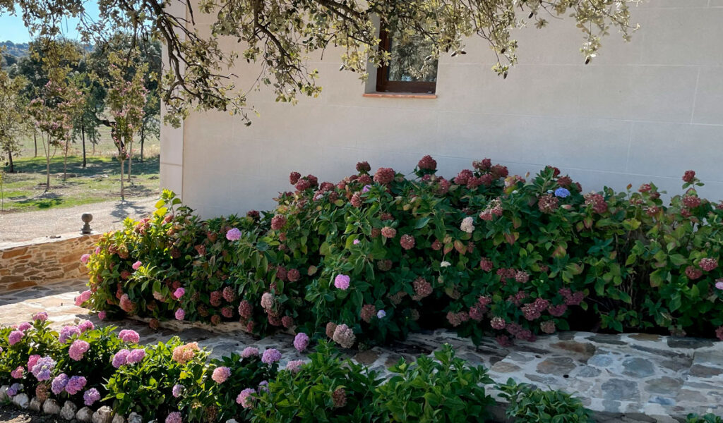 jardin finca caceres