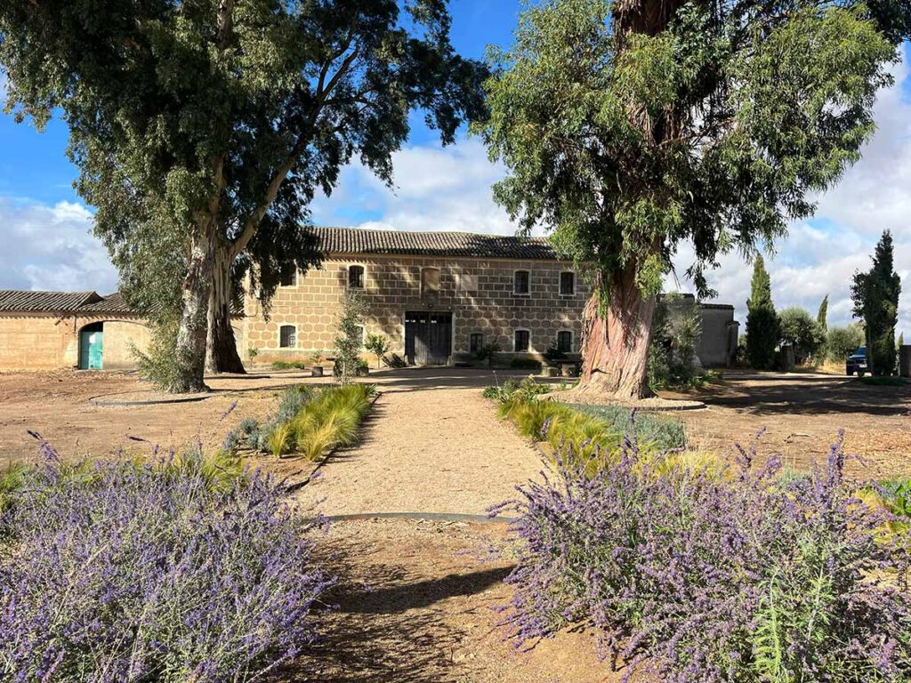 jardin finca en calera diseno praderas borduras plantaciones