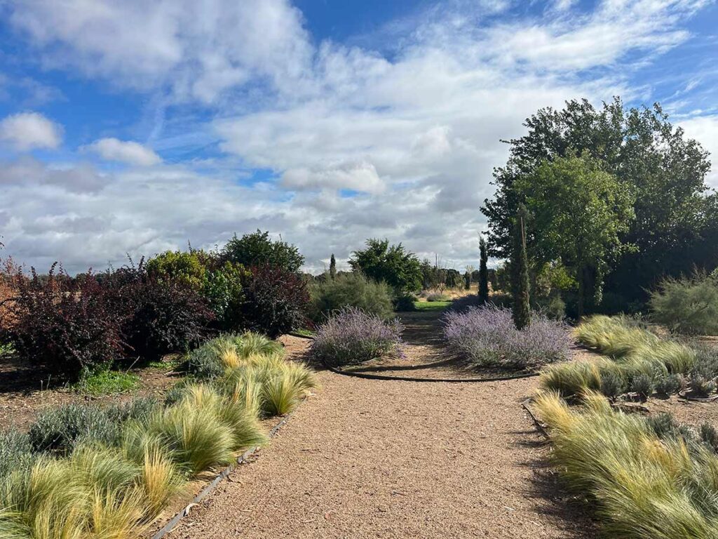 jardin finca en calera diseno praderas borduras plantaciones