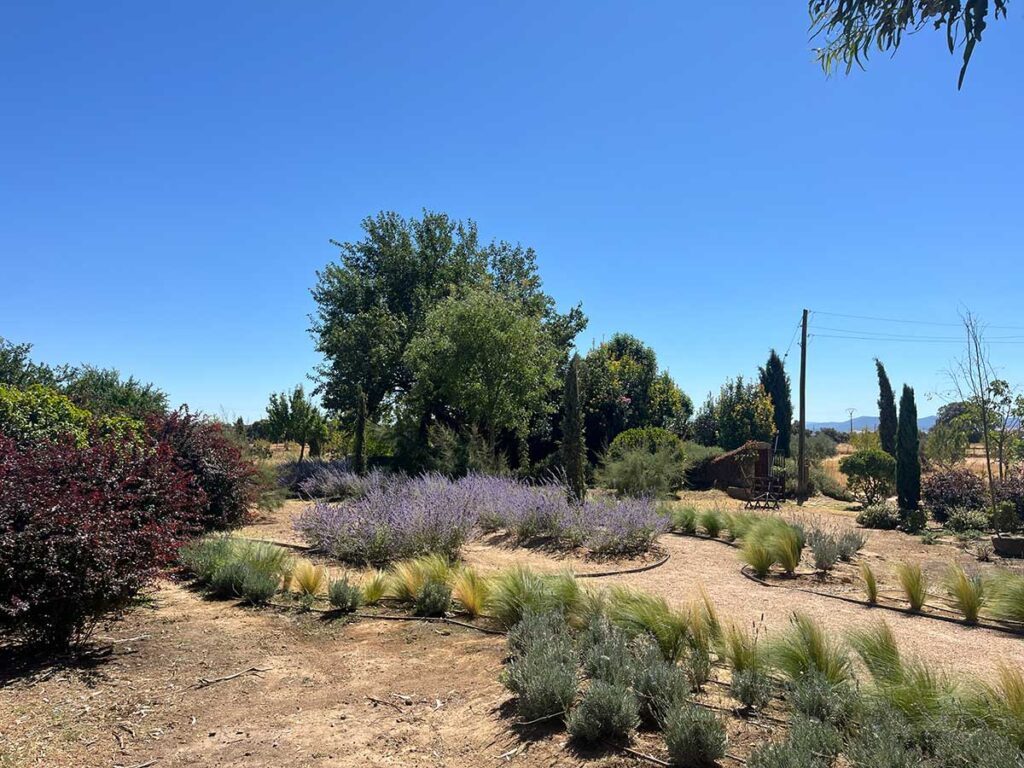jardin finca en calera diseno praderas borduras plantaciones