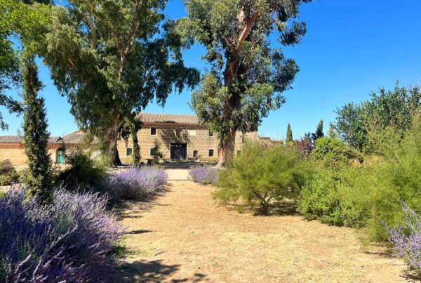 jardin finca en calera diseno praderas borduras plantaciones