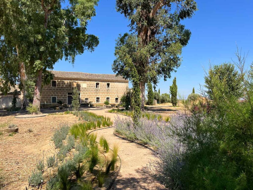 jardin finca en calera diseno praderas borduras plantaciones