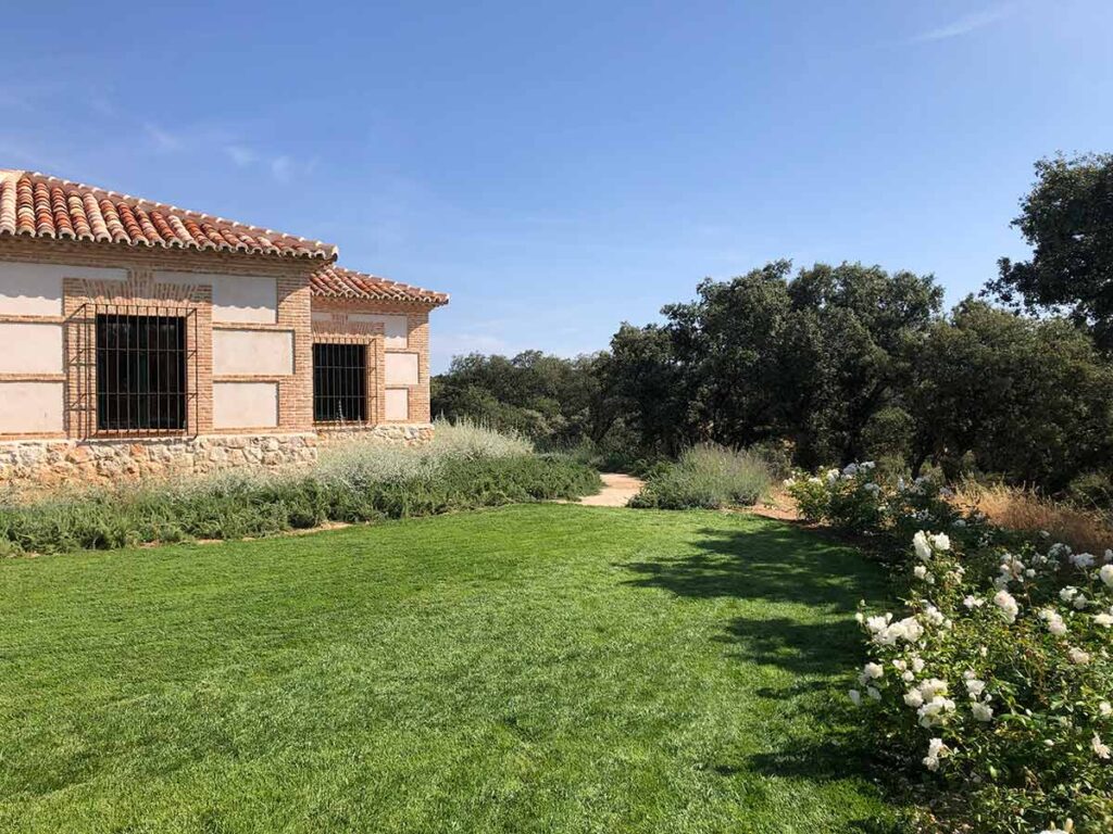 jardin finca en la alcarria creamos caminos pradera borduras plantas