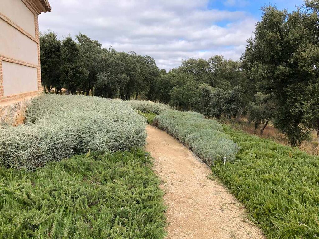 jardin finca en la alcarria creamos caminos pradera borduras plantas