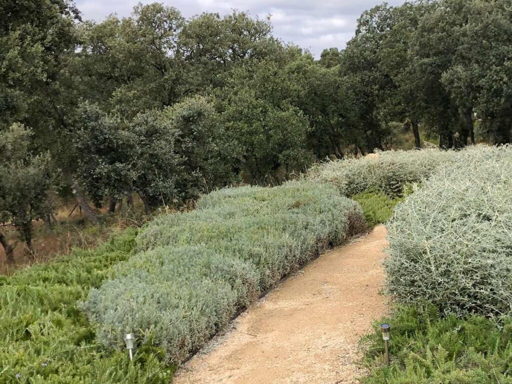 jardin finca en la alcarria creamos caminos pradera borduras plantas