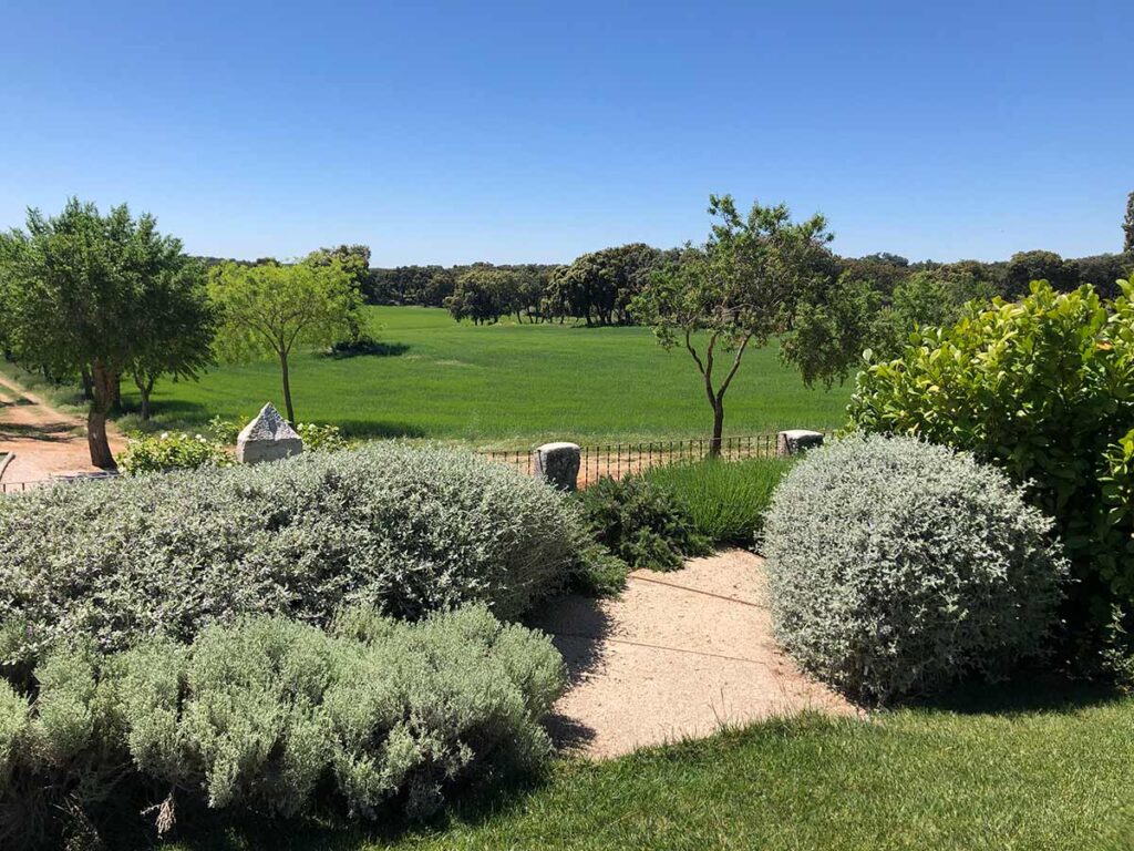 jardin finca en la alcarria jardineria especializada en fincas