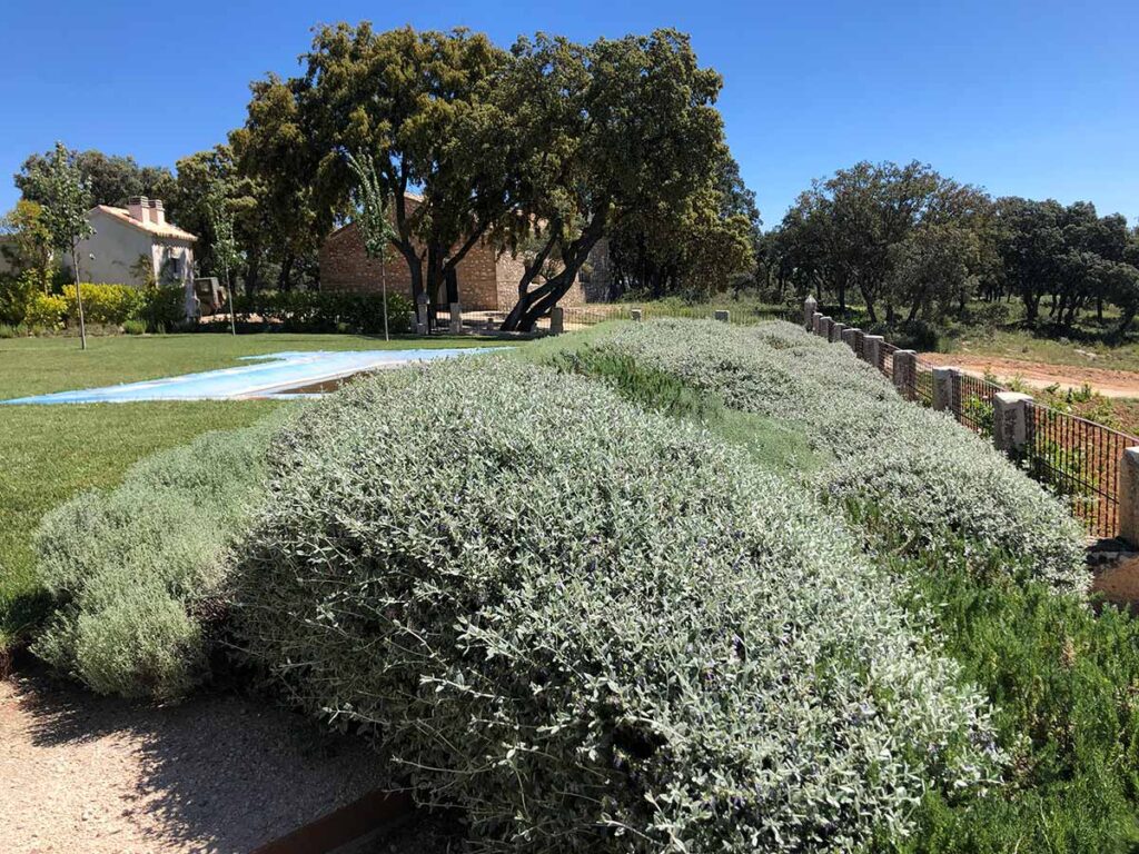 jardin finca en la alcarria jardineria especializada en fincas