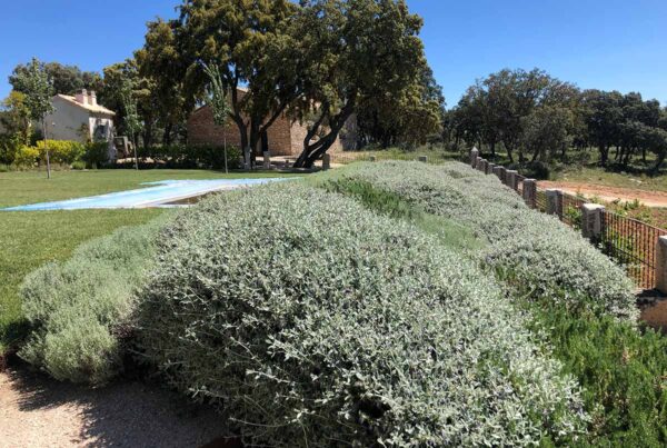 jardin finca en la alcarria jardineria especializada en fincas