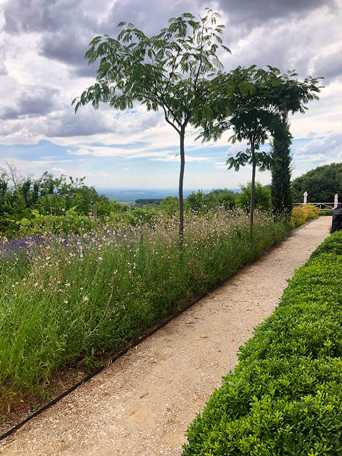 jardin finca en la vera jardines integrados en la naturaleza