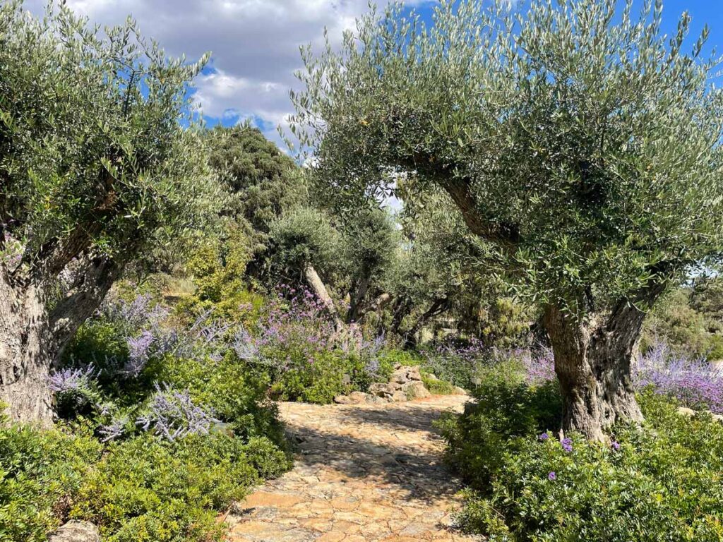 jardin finca sierra san vicente