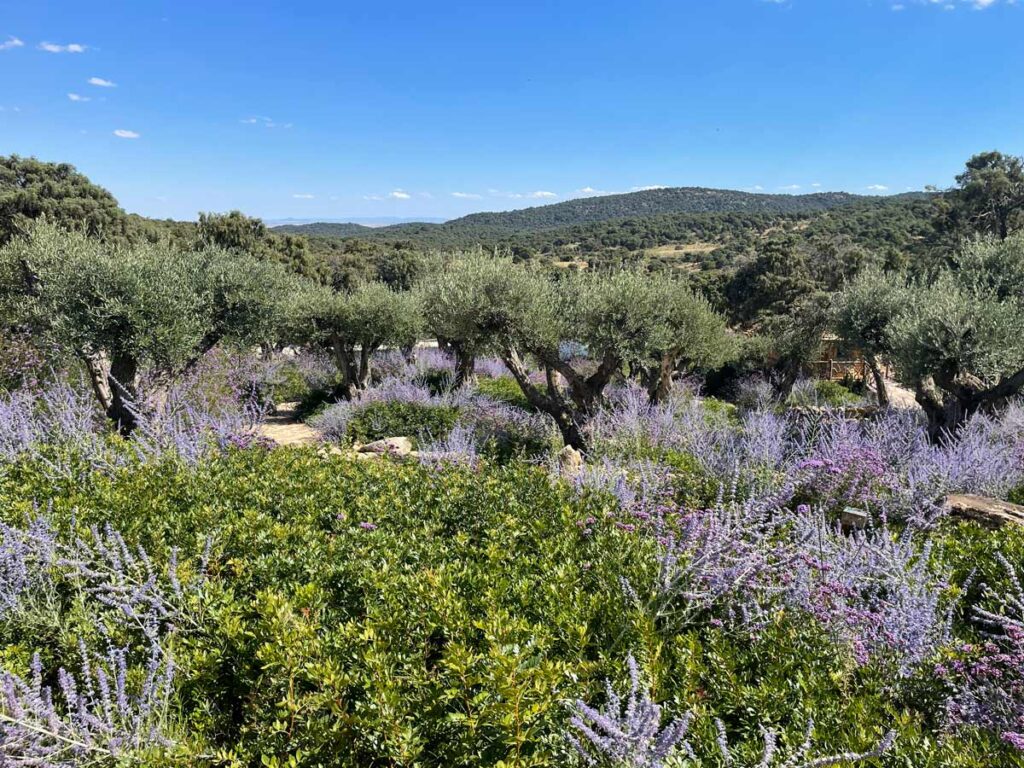 jardin finca sierra san vicente