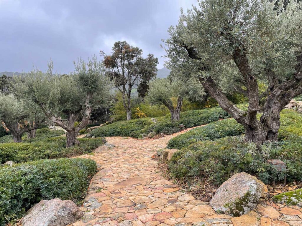 jardin finca sierra san vicente