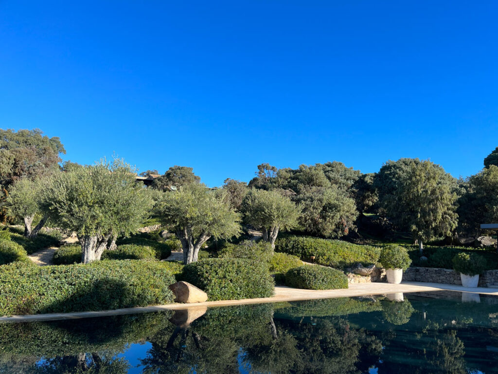jardin finca sierra san vicente