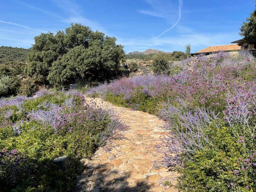 jardin finca sierra san vicente