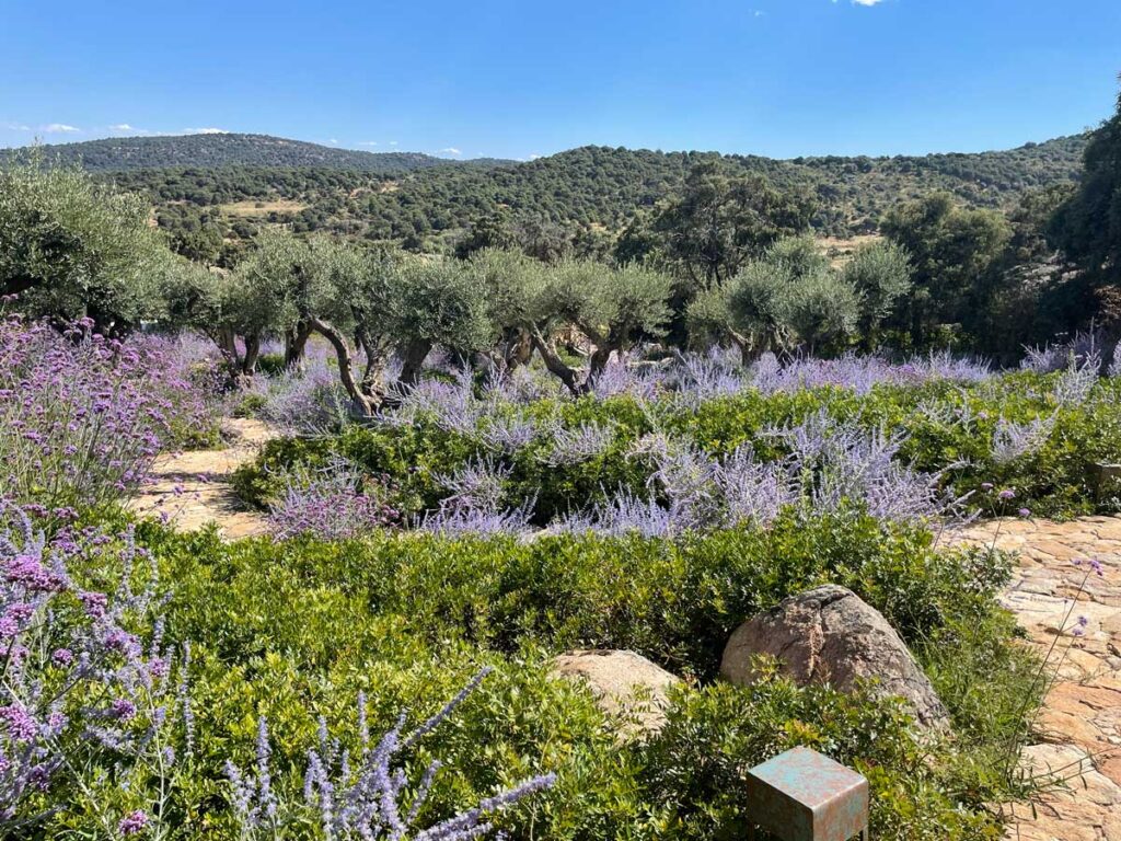 jardin finca sierra san vicente